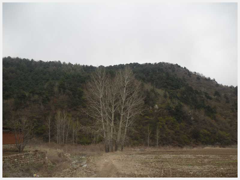 12̖(h��o)  �����н����(zh��n)�μҴ�������