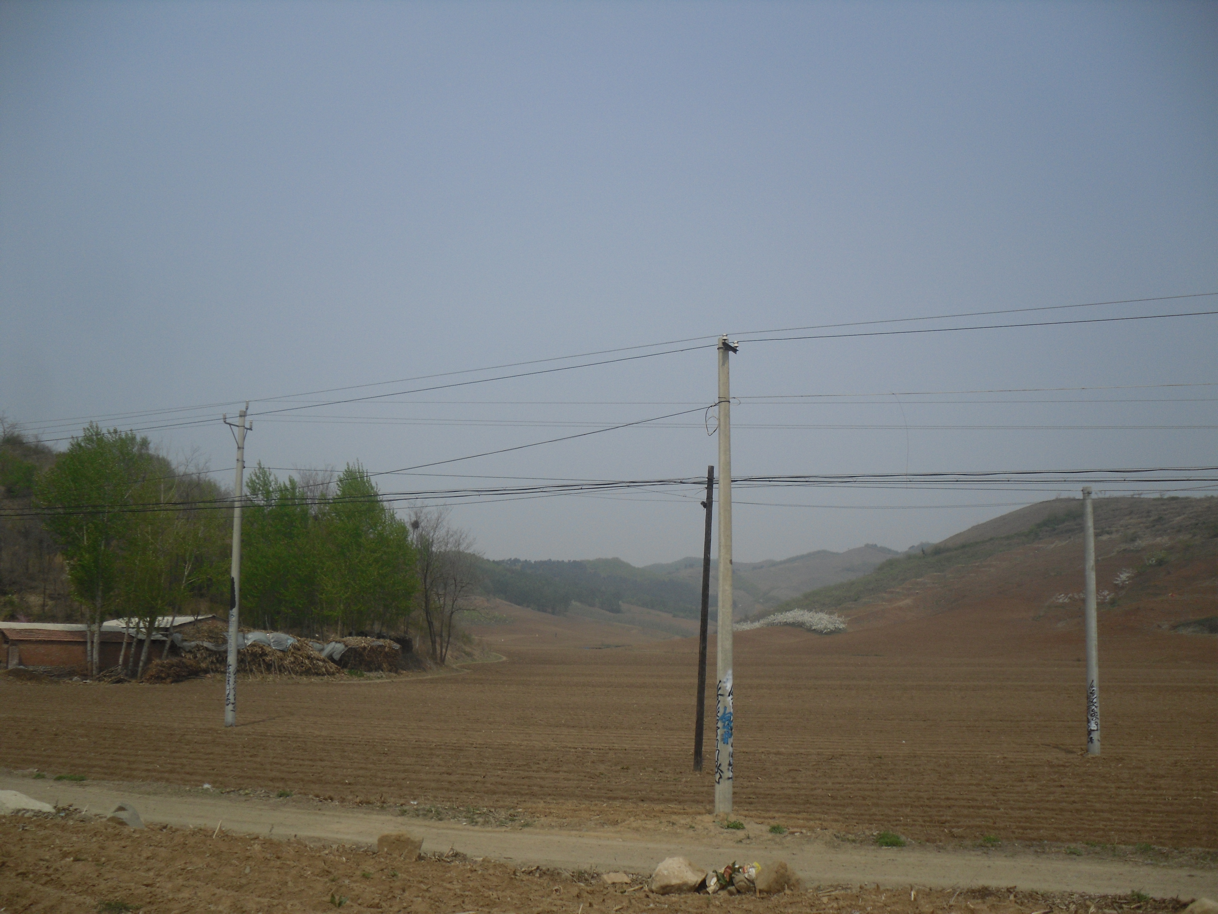 10̖(h��o) �����в���(zh��n)�����山��ϻ���(sh��)��