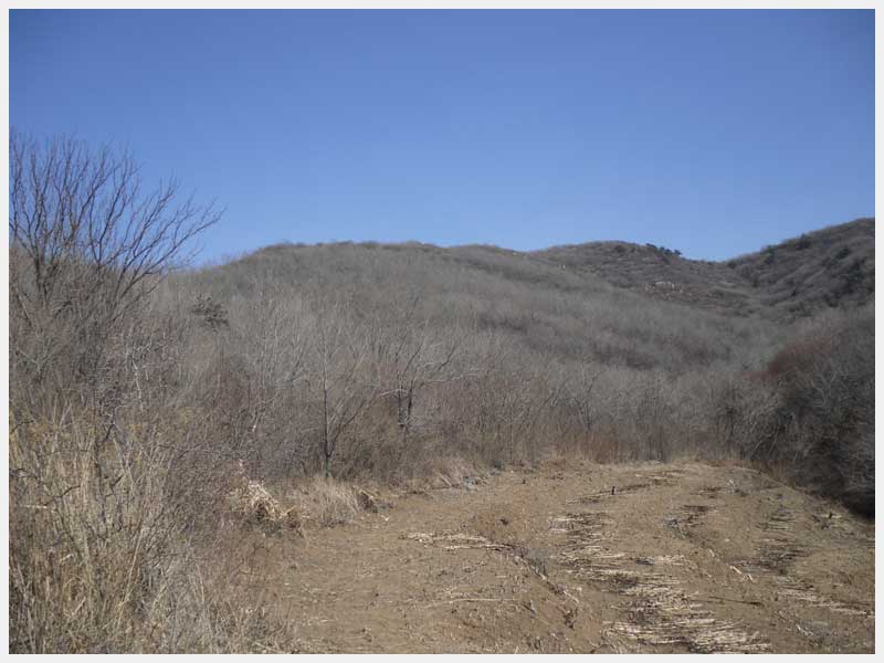 27̖(h��o) ������ë���(zh��n)��ë����֙�(qu��n)